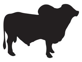 Brahman bull silhouette on white background vector