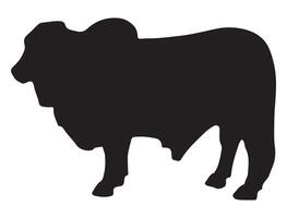 Brahman bull silhouette on white background vector