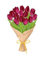 A bouquet of burgundy tulips in a paper wrapper with a ribbon. A charming gift with flowers for Valentine's Day, Mother's Day, or to show appreciation. Design element for greeting card, invitation. vector