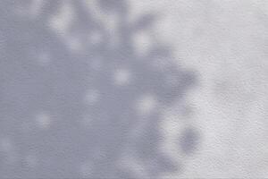 Leaves and Tree Shadow on White Concrete Wall Background with Space for Text photo