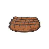 roasted sausage . vector