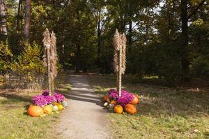 Autumn Garden Pathway Adorned with Pumpkins and Flowers. photo