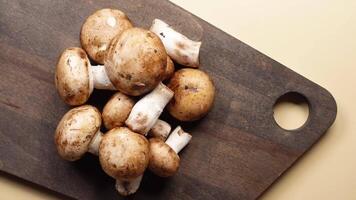 raw champignon mushroom on a chopping board on table video
