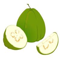 Whole and pises fresh guava vector