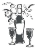 Nocino liqueur black and white linear sketch. Bottle and glasses and walnut branch on a white background. ink drawing in engraving style. Alcoholic drinks. clipart for menus, packaging, labels. vector
