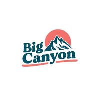 a large canyon with the sun in the background vector