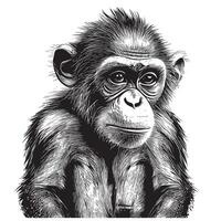 Smart Monkey sketch hand drawn in doodle style illustration vector