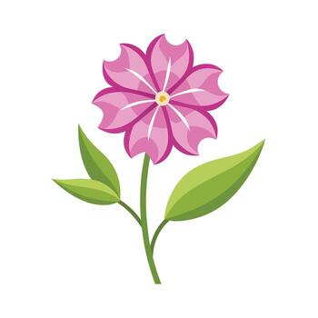 Beautiful Flower Minimalist Floral Illustration vector