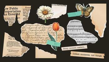 A set of torn paper, a collage of notebook sheets, an old newspaper. stamp butterfly and flower, vintage scrapbook. Paper cut elements vector