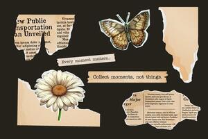 Ripped paper set, collage of notebook sheets, old newspaper. butterfly and flower stamp, vintage scrapbooking, typewriter text. Paper cut out elements vector