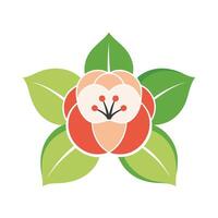 Beautiful Flower Minimalist Floral Illustration vector