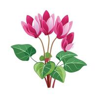 Beautiful Flower Minimalist Floral Illustration vector
