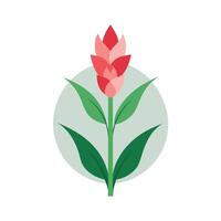 Beautiful Flower Minimalist Floral Illustration vector
