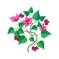 Beautiful Flower Minimalist Floral Illustration vector