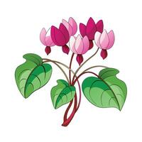 Beautiful Flower Minimalist Floral Illustration vector