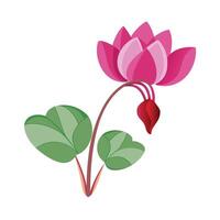 Beautiful Flower Minimalist Floral Illustration vector