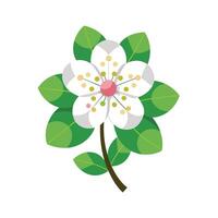 Beautiful Flower Minimalist Floral Illustration vector