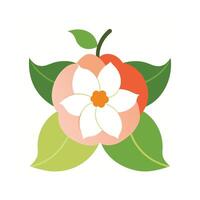 Beautiful Flower Minimalist Floral Illustration vector