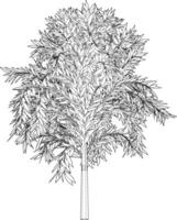 3D illustration of tree and plant vector