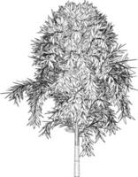 3D illustration of tree and plant vector