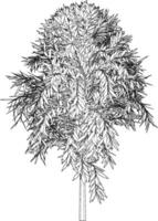 3D illustration of tree and plant vector