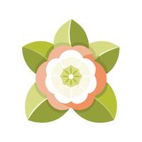 Beautiful Flower Minimalist Floral Illustration vector
