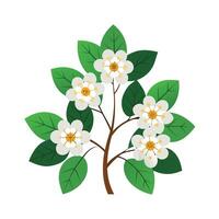 Beautiful Flower Minimalist Floral Illustration vector