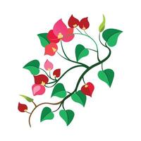 Beautiful Flower Minimalist Floral Illustration vector