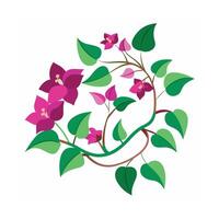 Beautiful Flower Minimalist Floral Illustration vector