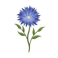 Beautiful Flower Minimalist Floral Illustration vector