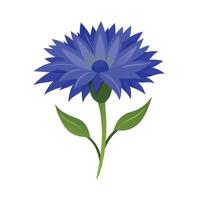Beautiful Flower Minimalist Floral Illustration vector