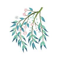 Beautiful Flower Minimalist Floral Illustration vector
