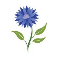 Beautiful Flower Minimalist Floral Illustration vector