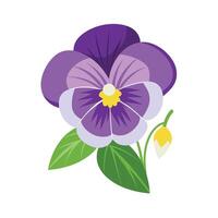 Beautiful Flower Minimalist Floral Illustration vector