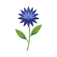 Beautiful Flower Minimalist Floral Illustration vector