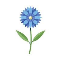 Beautiful Flower Minimalist Floral Illustration vector