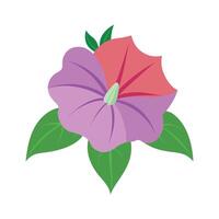 Beautiful Flower Minimalist Floral Illustration vector