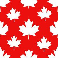 White Maple Leaves on Red Background vector