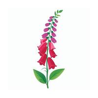 Beautiful Flower Minimalist Floral Illustration vector