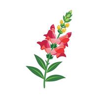 Beautiful Flower Minimalist Floral Illustration vector