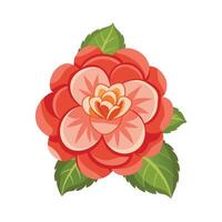 Beautiful Flower Minimalist Floral Illustration vector