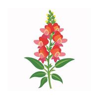 Beautiful Flower Minimalist Floral Illustration vector