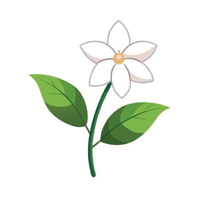 Mogra Flower Vector Art, Icons, and Graphics for Free Download