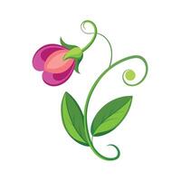 Beautiful Flower Minimalist Floral Illustration vector