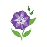 Beautiful Flower Minimalist Floral Illustration vector