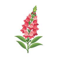 Beautiful Flower Minimalist Floral Illustration vector