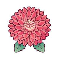 Beautiful Flower Minimalist Floral Illustration vector