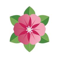 Beautiful Flower Minimalist Floral Illustration vector