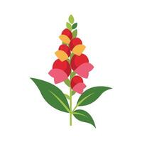 Beautiful Flower Minimalist Floral Illustration vector