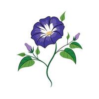 Beautiful Flower Minimalist Floral Illustration vector